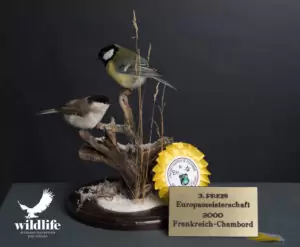 Dirk+Opalka+-+Erfolge12