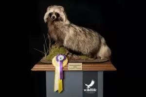 Dirk+Opalka+-+Erfolge7