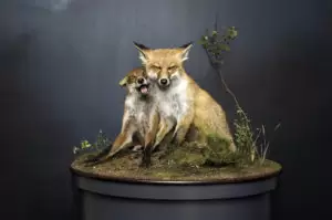 Weltmeister+2008+Dirk+Opalka