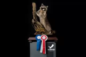 dirk+opalka+-+wildlif+-+erfolge+-+vizeeuropameister+2004